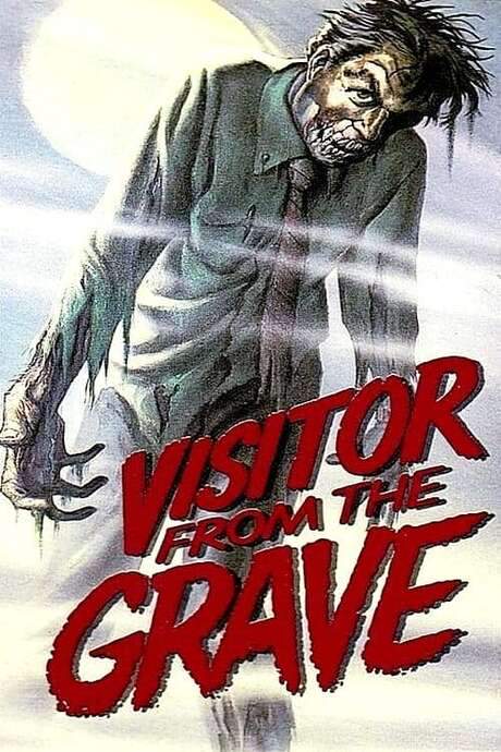 Visitor from the Grave (1980) movie poster
