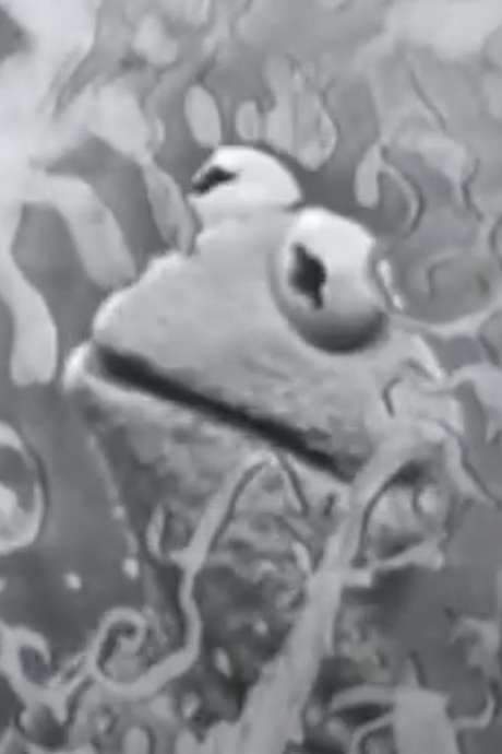 Visual Thinking (1961) movie poster