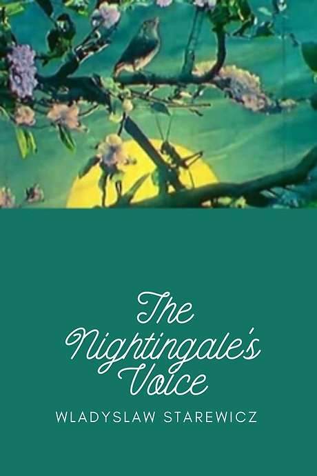 Voice of the Nightingale (1923) movie poster
