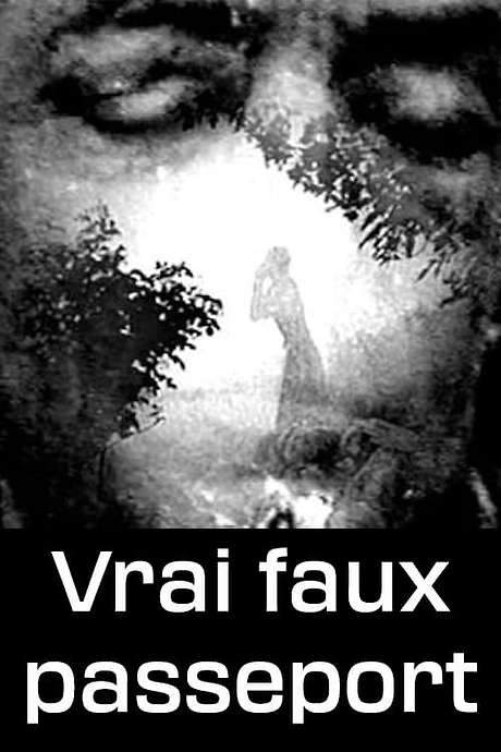 Vrai faux passeport (2006) movie poster