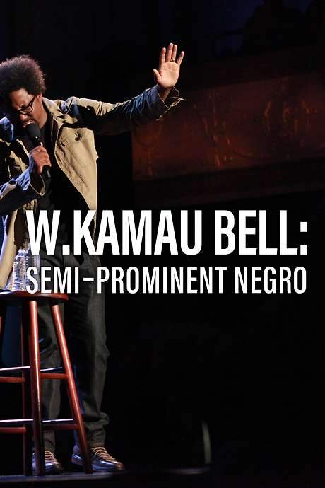 W. Kamau Bell: Semi-Prominent Negro (2016) movie poster