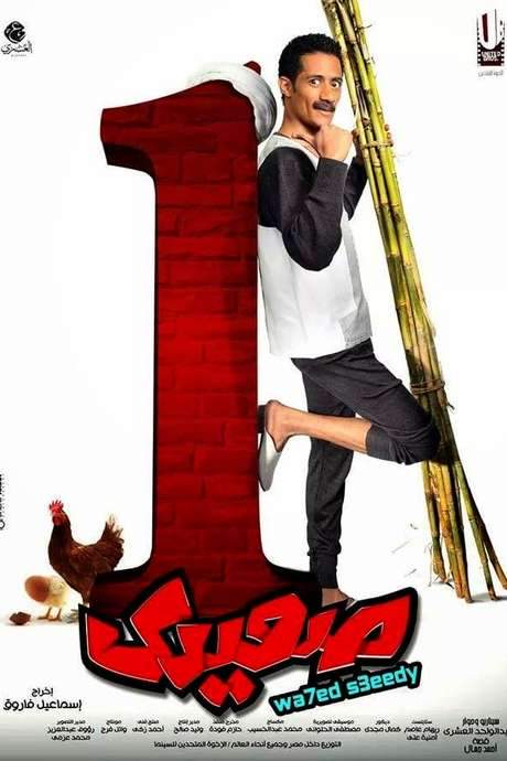 Wahed Sa’idy (2014) movie poster