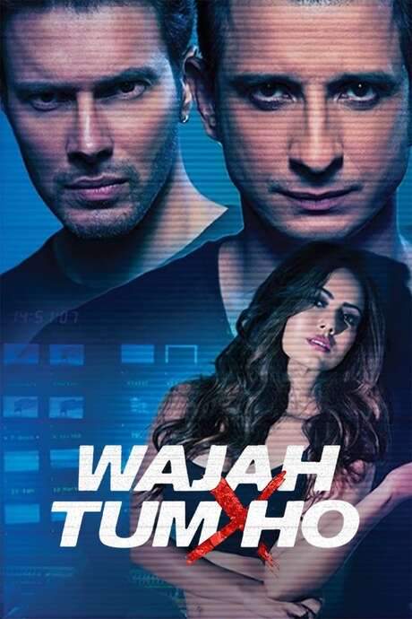Wajah Tum Ho (2016) movie poster