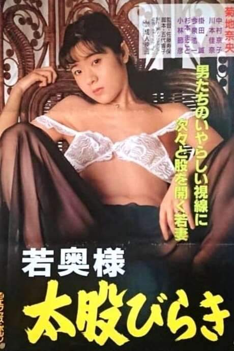 Wakaoku-sama: Futomono-biraki (1994) movie poster