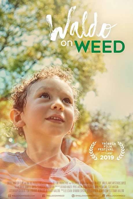 Waldo on Weed (2019) movie poster