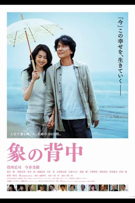 Walking My Life (2007) movie poster