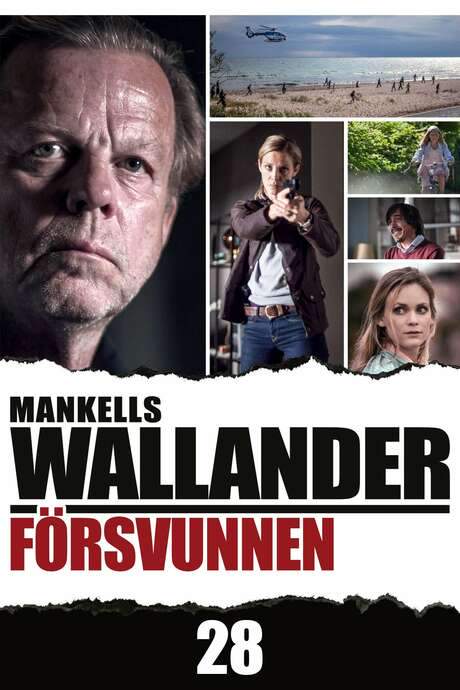 Wallander: Missing (2013) movie poster