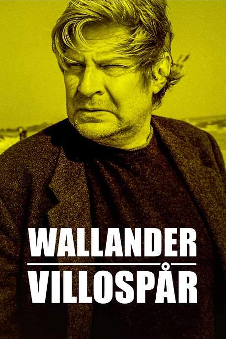 Wallander: Sidetracked (2001) movie poster