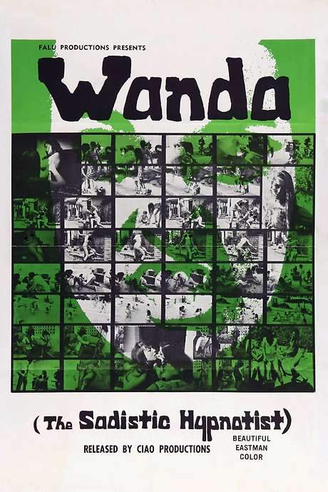 Wanda the Sadistic Hypnotist (1969) movie poster