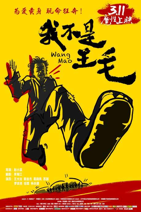 Wang Mao (2016) movie poster