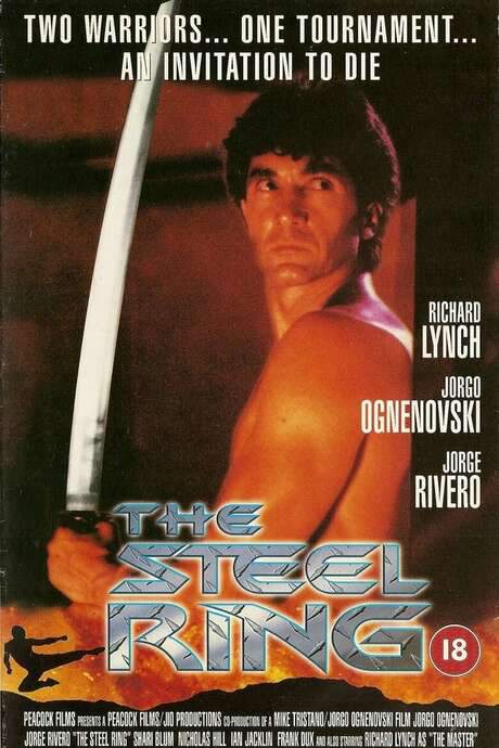 Warrior of Justice (1995) movie poster