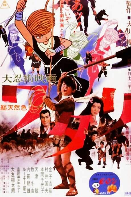 Watari, the Ninja Boy (1966) movie poster