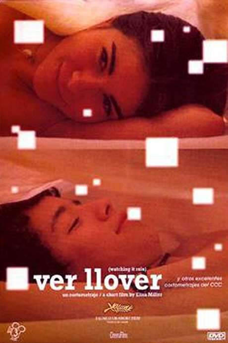 Watching it Rain (2006) movie poster