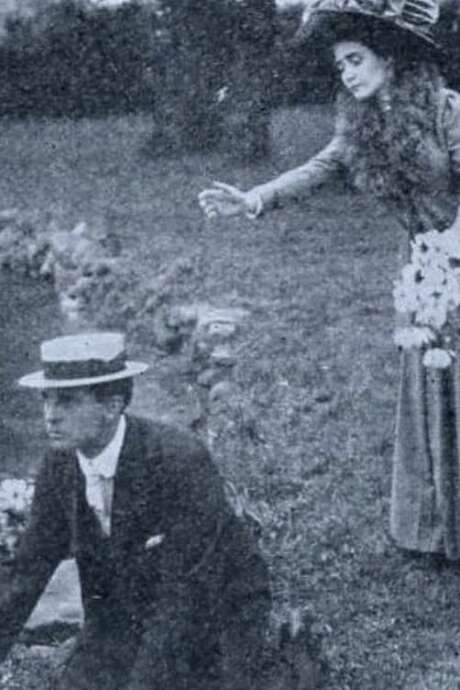 Water Lilies (1911) movie poster