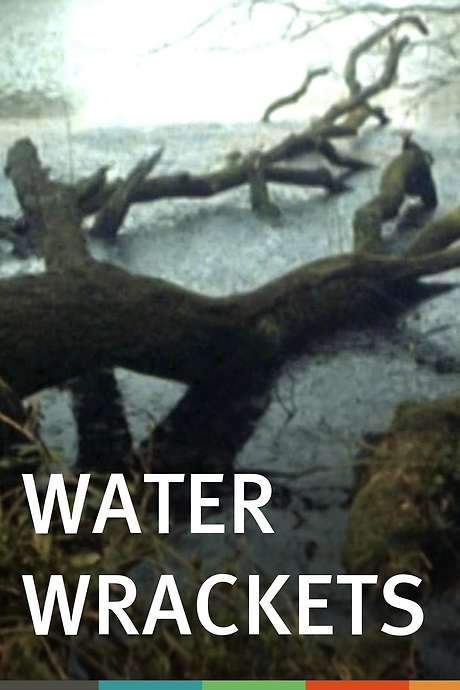 Water Wrackets (1978) movie poster