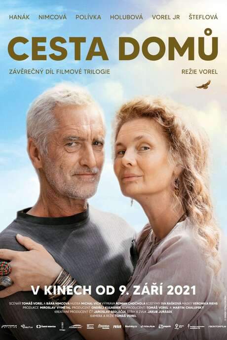 Way Home (2021) movie poster