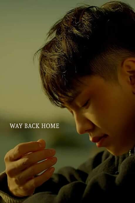 Way Back Home (2015) movie poster