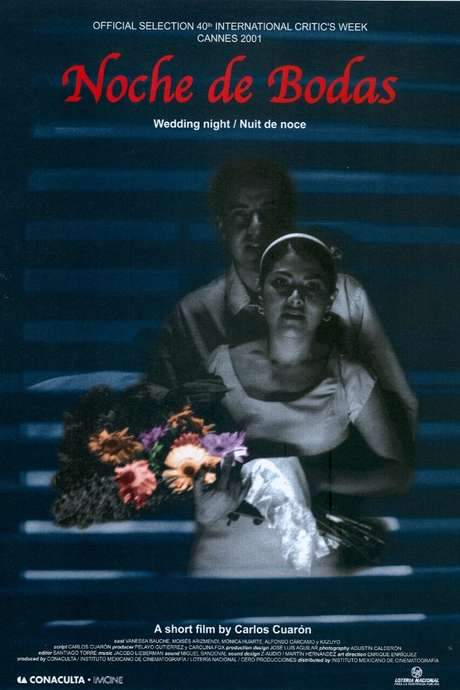 Wedding Night (2002) movie poster