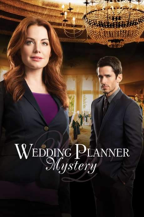 Wedding Planner Mystery (2014) movie poster