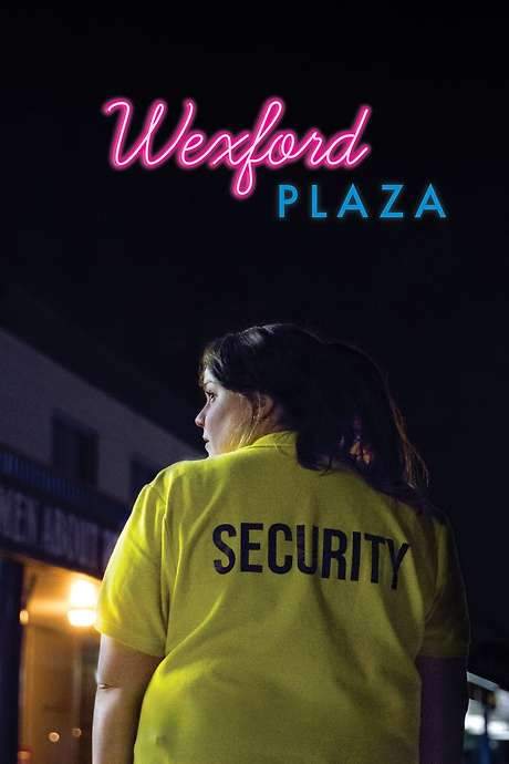 Wexford Plaza (2016) movie poster
