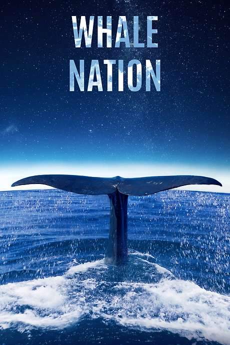 Whale Nation (2023) movie poster