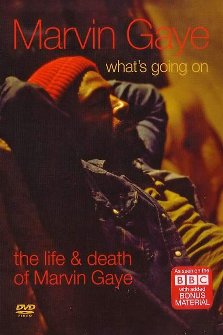 What’s Going On: The Life and Death of Marvin Gaye (2008) movie poster