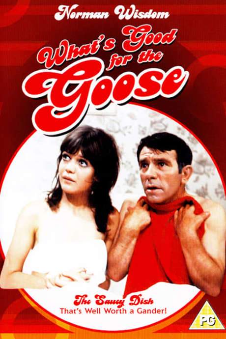 What’s Good for the Goose (1969) movie poster