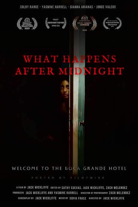 What Happens After Midnight (2024) movie poster