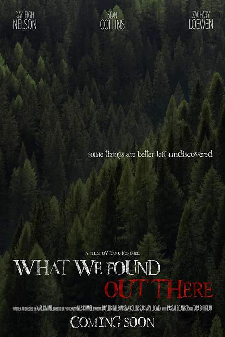 What We Found Out There (2021) movie poster