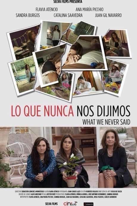 What We Never Said (2015) movie poster