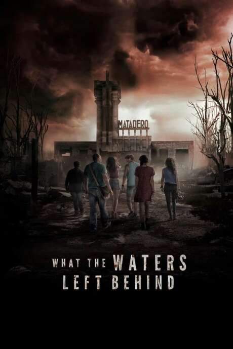 What the Waters Left Behind (2017) movie poster