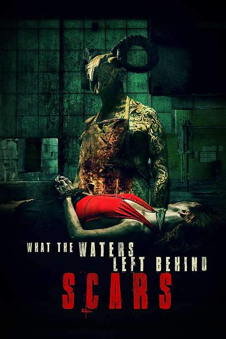 What the Waters Left Behind: Scars (2022) movie poster