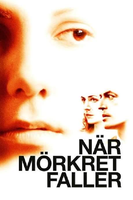 When Darkness Falls (2006) movie poster
