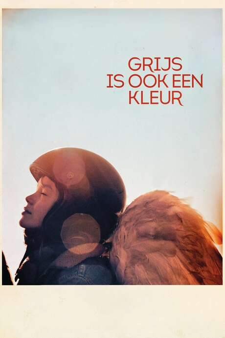 When Grey Is a Colour (2016) movie poster