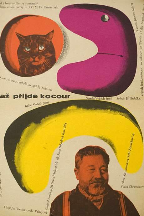When the Cat Comes (1963) movie poster