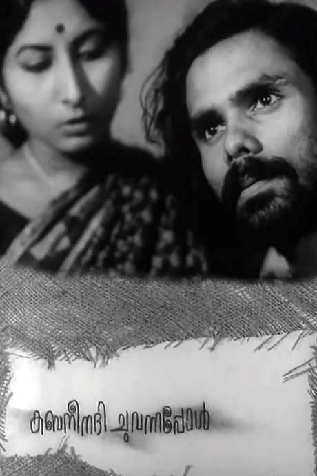 When the River Kabani Went Red (1976) movie poster