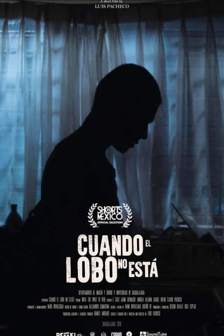 When the Wolf Is Not Around (2020) movie poster