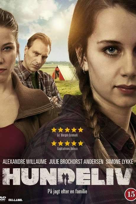 Where Have All the Good Men Gone (2016) movie poster