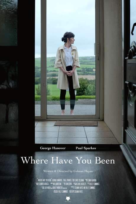 Where Have You Been (2021) movie poster