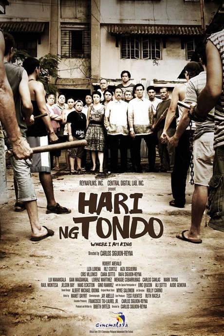 Where I Am King (2014) movie poster