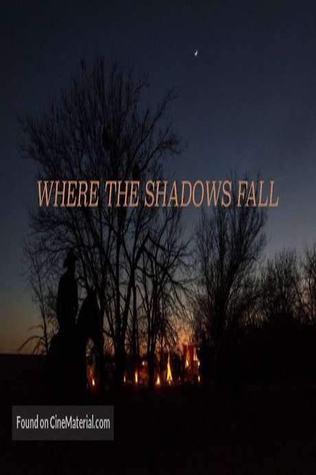 Where The Shadows Fall (2016) movie poster