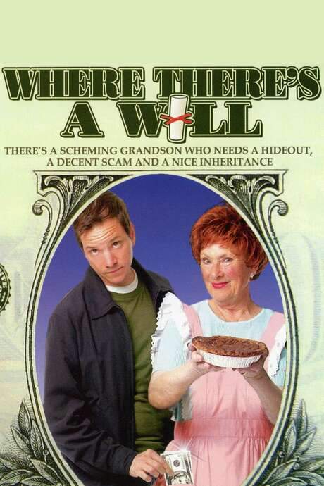 Where There’s a Will (2006) movie poster
