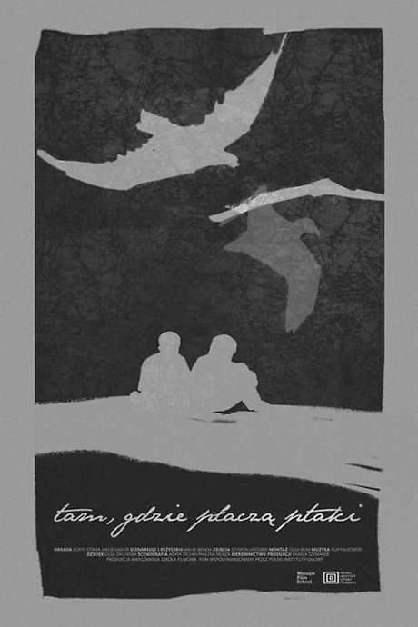 Where the Birds Cry (2023) movie poster
