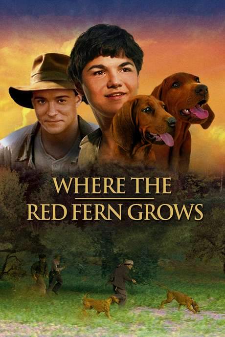 Where the Red Fern Grows (2003) movie poster