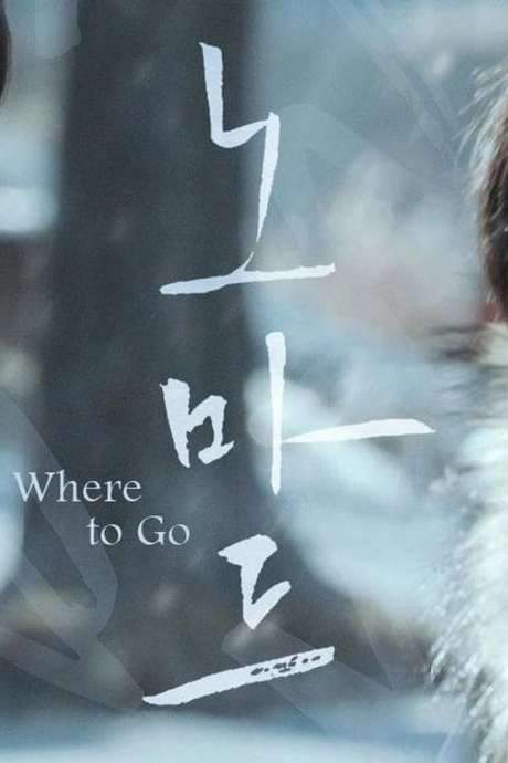 Where to Go (2018) movie poster