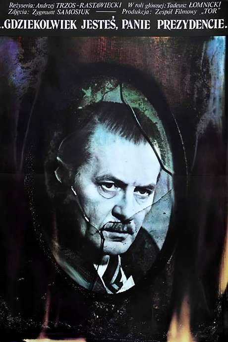 Wherever You Are, Mr. President (1978) movie poster
