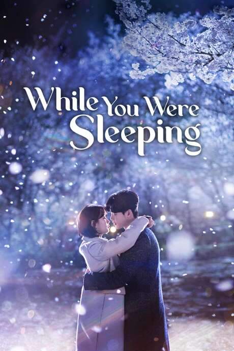 While You Were Sleeping (2017) movie poster