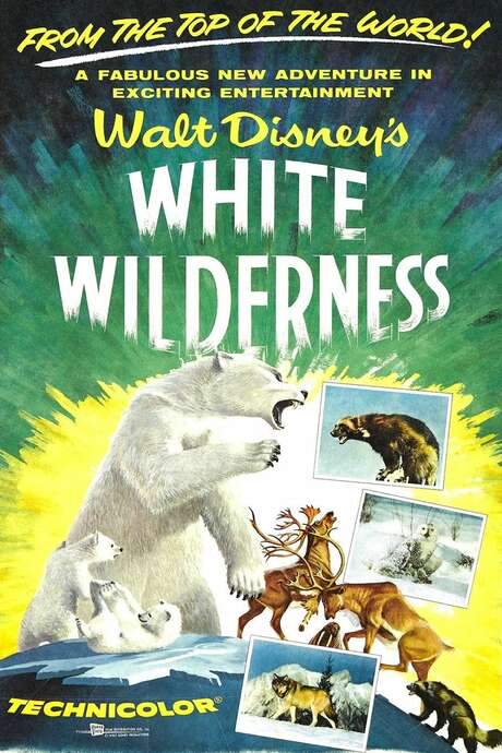 White Wilderness (1958) movie poster