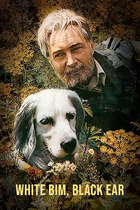 White Bim Black Ear (1977) movie poster