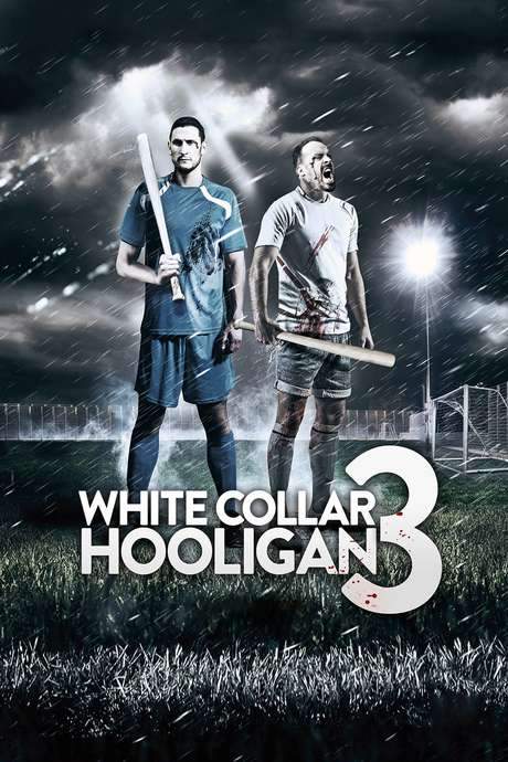 White Collar Hooligan 3 (2014) movie poster